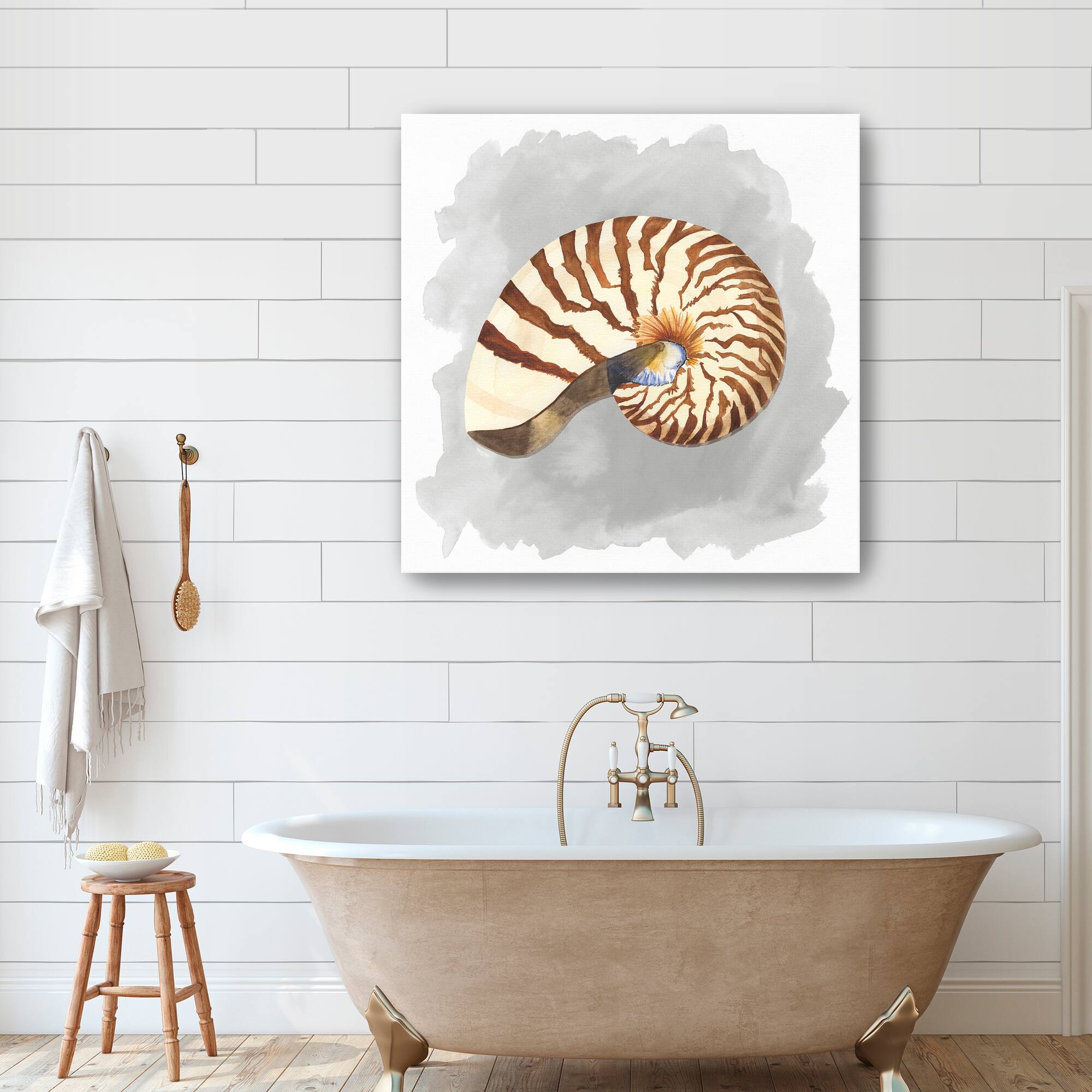 Shells On Grey III Canvas Giclee